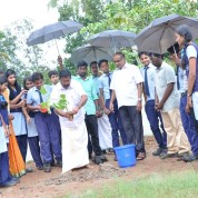 World Environment Day Celebration in Pictures
